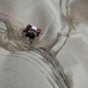Illustration for article titled All The Best 2012 Dakar Rally Photos In One Place